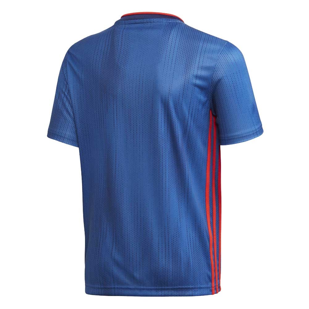 1570882795-sunderland-adidas-away-football-shirt-2019-20-back