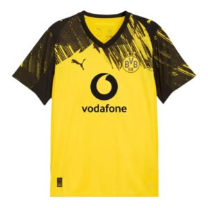 dortmund-2-4