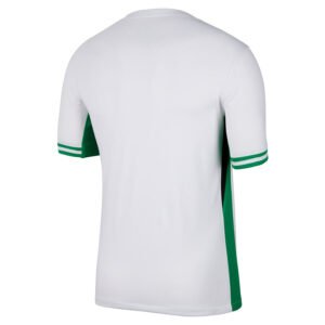 maillot-nigeria-domicile-2024-2