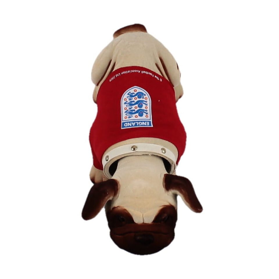 England Nodding Dog
