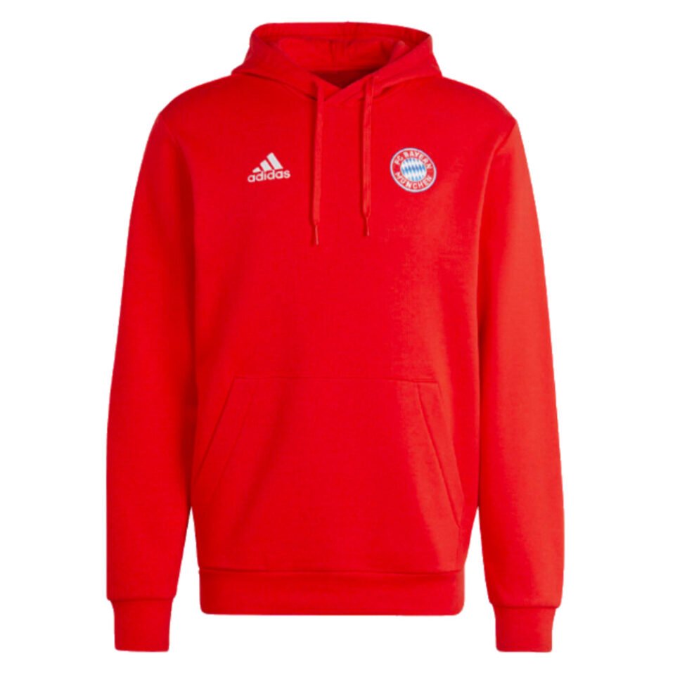 2023-2024 Bayern Munich DNA Hoody