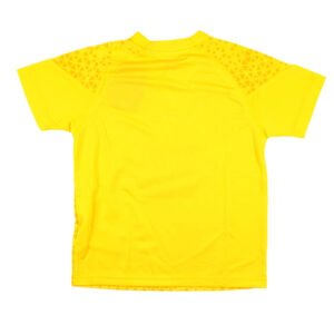 re_1689927083_borussia-dortmund-2023-2024-football-training-jersey-yellow-kids-back