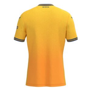 re_1692387885_hoffenheim-2023-2024-third-football-shirt-back