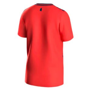 re_1692825699_everton-hummel-away-football-shirt-2023-24-kids-back