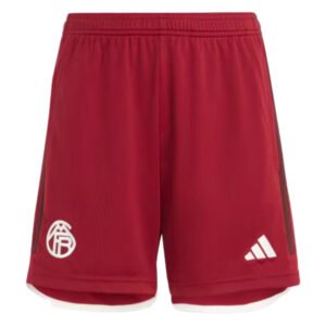 re_1692956255_bayern-munich-2023-2024-third-football-shorts-red-kids-1