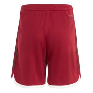 re_1692956255_bayern-munich-2023-2024-third-football-shorts-red-kids-back-1