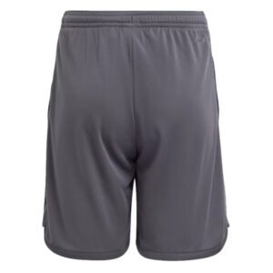 re_1693392979_juventus-2023-2024-third-football-shorts-carbon-kids-back