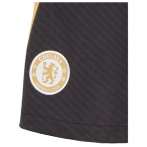re_1694617081_chelsea-fc-2023-2024-strike-dri-fit-football-shorts-cu