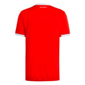 re_1697492097_river-plate-2022-2023-away-football-shirt-back