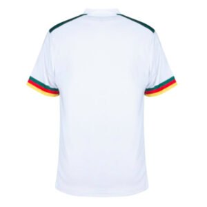 re_1697499668_2022-2023-cameroon-pro-away-football-shirt-back_b3767785-807e-4a9e-bebd-7f10a135d707