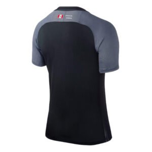 re_1697525629_sevilla-2018-2019-3rd-football-shirt-back