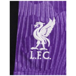 re_1698285815_2023-2024-liverpool-third-football-shorts-back