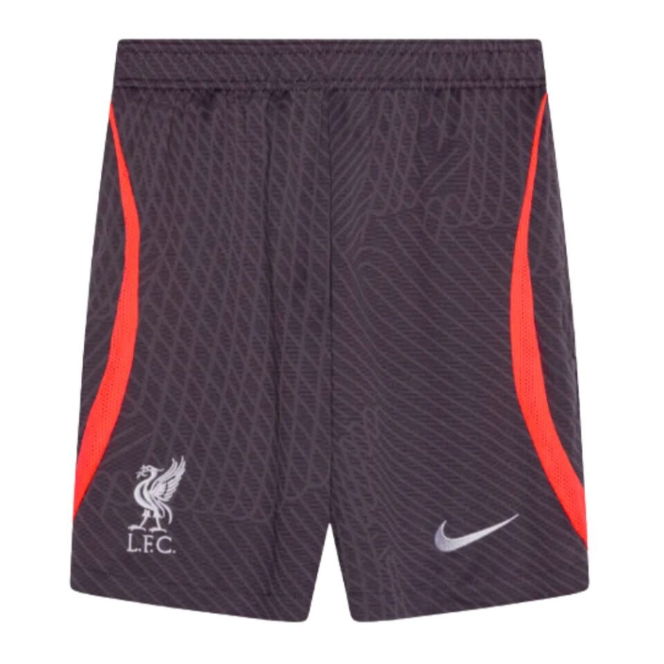 2023-2024 Liverpool Strike Training Shorts – Kids