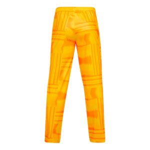 re_1699140925_ghana-2023-2024-ftblculture-football-pants-yellow-back