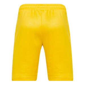 re_1699141779_ghana-2023-2024-ftblculture-football-shorts-yellow-back