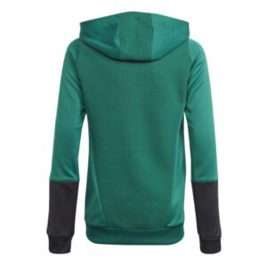 re_1701029305_man-utd-football-hoody-green-back