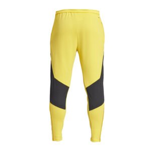 re_1702237800_juventus-2023-2024-training-football-pants-bold-gold-back