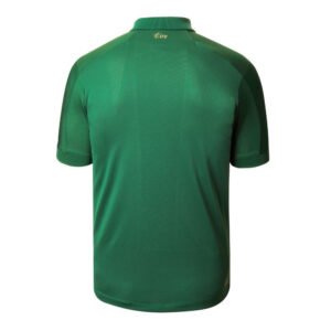re_1706505133_2019-2020-ireland-home-new-balance-football-shirt-kids-back