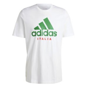 re_1710482065_italy-2024-2025-dna-graphic-football-tee-white