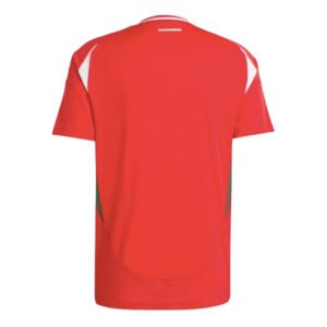 re_1710973833_hungary-2024-2025-home-football-shirt-back