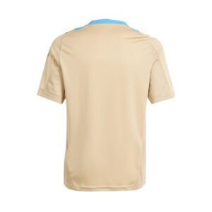 re_1710980470_argentina-2024-2025-football-training-jersey-hazy-beige-cu
