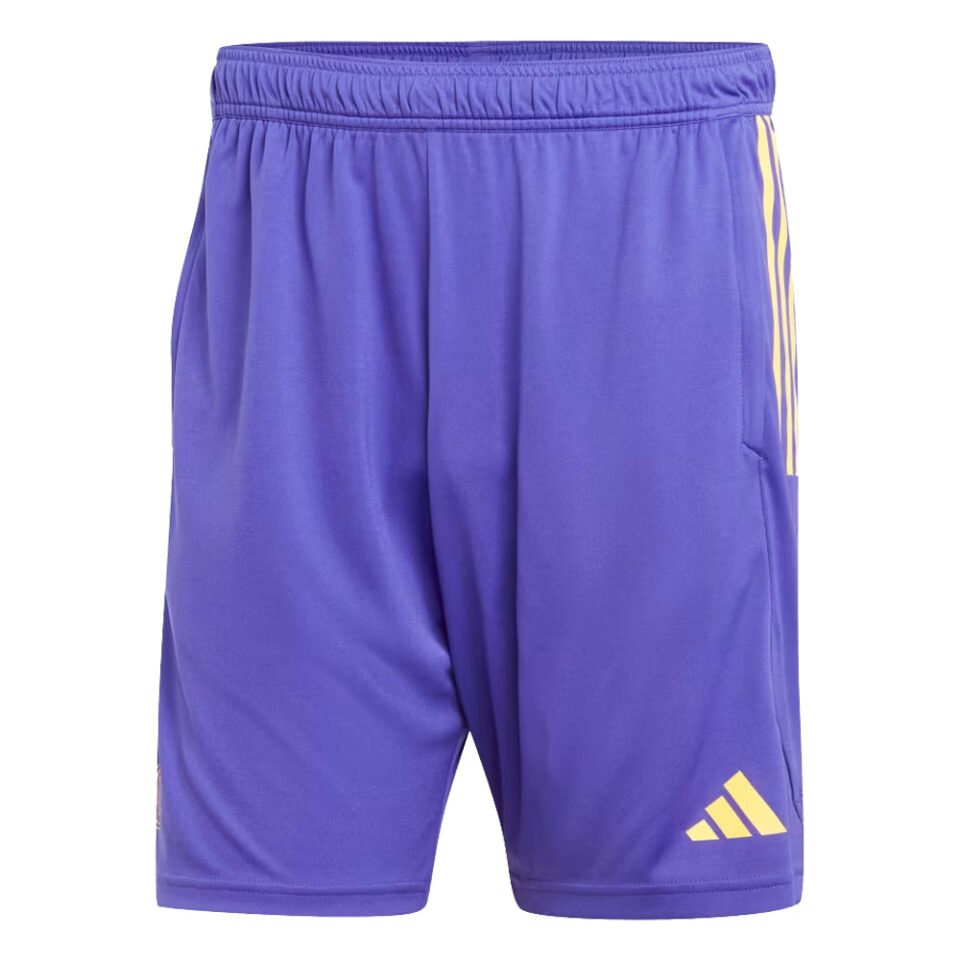 2023-2024 Real Madrid Training Shorts