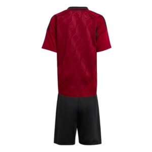 re_1711499177_belgium-2024-2025-home-mini-football-kit-back