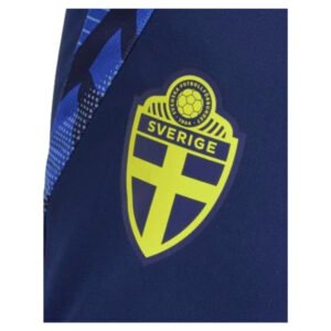 re_1711574150_sweden-2024-2025-training-football-pants-navy-back