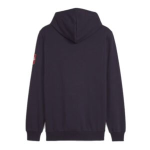 re_1711661869_serbia-2024-2025-ftblicons-football-hoody-navy-back