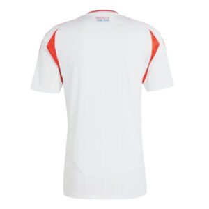re_1712094156_chile-2024-2025-away-football-shirt-back_43c00187-f673-4f98-bb9b-2ce11e5e4f65-5