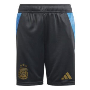 re_1712100644_argentina-2024-2025-football-training-shorts-carbon-kids