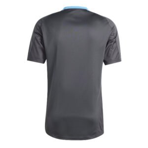 re_1712257504_argentina-2024-2025-training-football-jersey-carbon-back-2