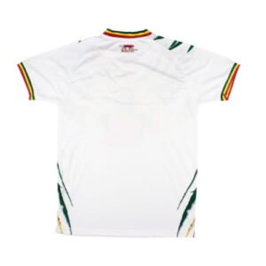re_1712535892_2024-mali-airness-cup-home-football-shirt-back-3
