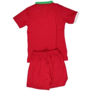 re_1712561011_2016-2017-republic-of-iran-away-football-kit-back-2