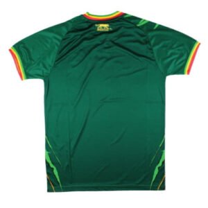 re_1712561537_mali-2024-away-football-shirt-back-2