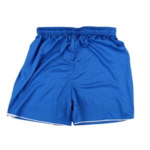 re_1713390115_airdire-2015-2016-training-shorts-royal-blue-back-3