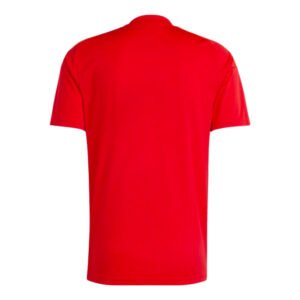 re_1715726127_spain-2024-2025-home-fan-football-shirt-back_47736c3f-00b7-4259-bf2a-f3aba8fa574a-4