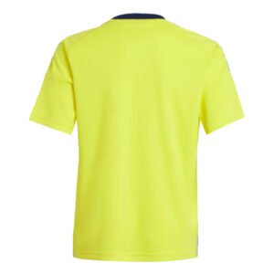 re_1716155622_sweden-2024-2025-home-fan-football-shirt-kids-back-2