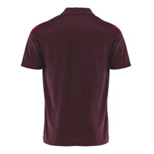 re_1716156255_bayern-munich-2024-2025-polo-football-shirt-shadow-maroon-back-2