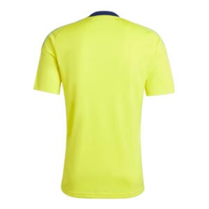 re_1716160769_sweden-2024-2025-home-fan-football-shirt-back-3