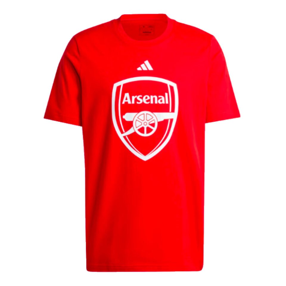 2024-2025 Arsenal DNA Graphic Tee