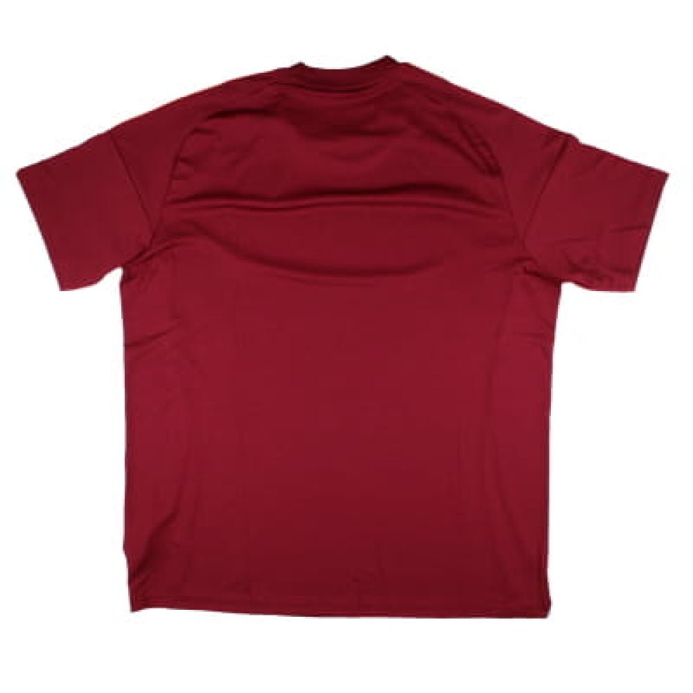 re_1716344913_latvia-2024-2025-home-fan-football-shirt-back-3