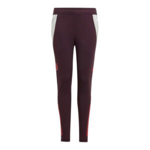 re_1716764194_bayern-munich-2024-2025-training-football-pants-shadow-maroon-kids-2