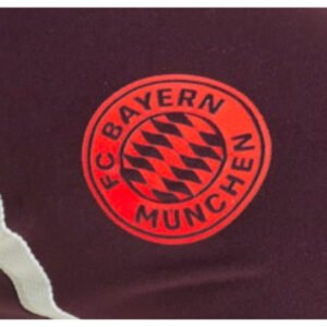 re_1716764194_bayern-munich-2024-2025-training-football-pants-shadow-maroon-kids-cu-2