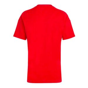 re_1716787792_hungary-2024-2025-home-fan-football-shirt-back-3