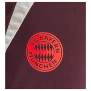 re_1716940330_bayern-munich-2024-2025-football-training-pants-shadow-maroon-cu-2