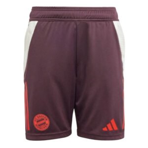 re_1716953846_bayern-munich-2024-2025-training-football-shorts-shadow-maroon-kids-2