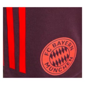 re_1716953846_bayern-munich-2024-2025-training-football-shorts-shadow-maroon-kids-back-2