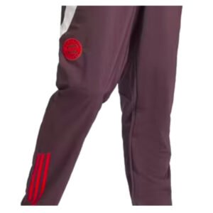 re_1717026961_bayern-munich-2024-2025-football-presentation-pants-shadow-maroon-back-2