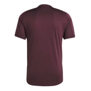 re_1717393592_bayern-munich-2024-2025-football-training-tee-shadow-maroon-back-3